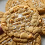 Best Peanut Butter Chip Cookies 30 Best Peanut Butter Chip Cookies
