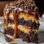 Chocolate Caramel Dump Cake Recipe 22 Chocolate Caramel Dump Cake Recipe